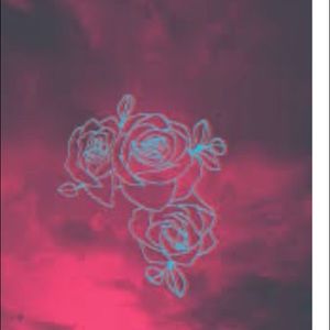 Meet your Posher, Sadie